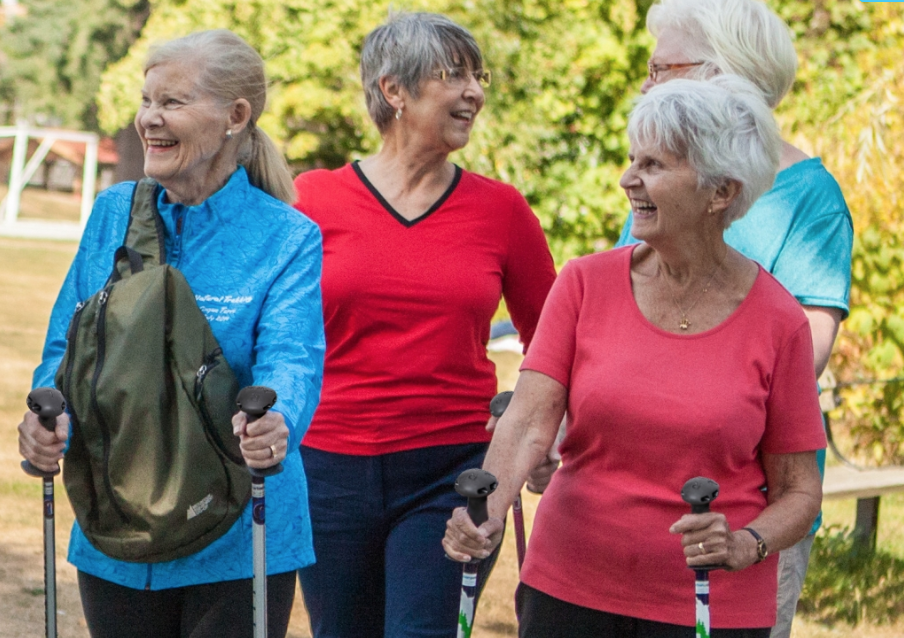 Active Living for Older Adults
