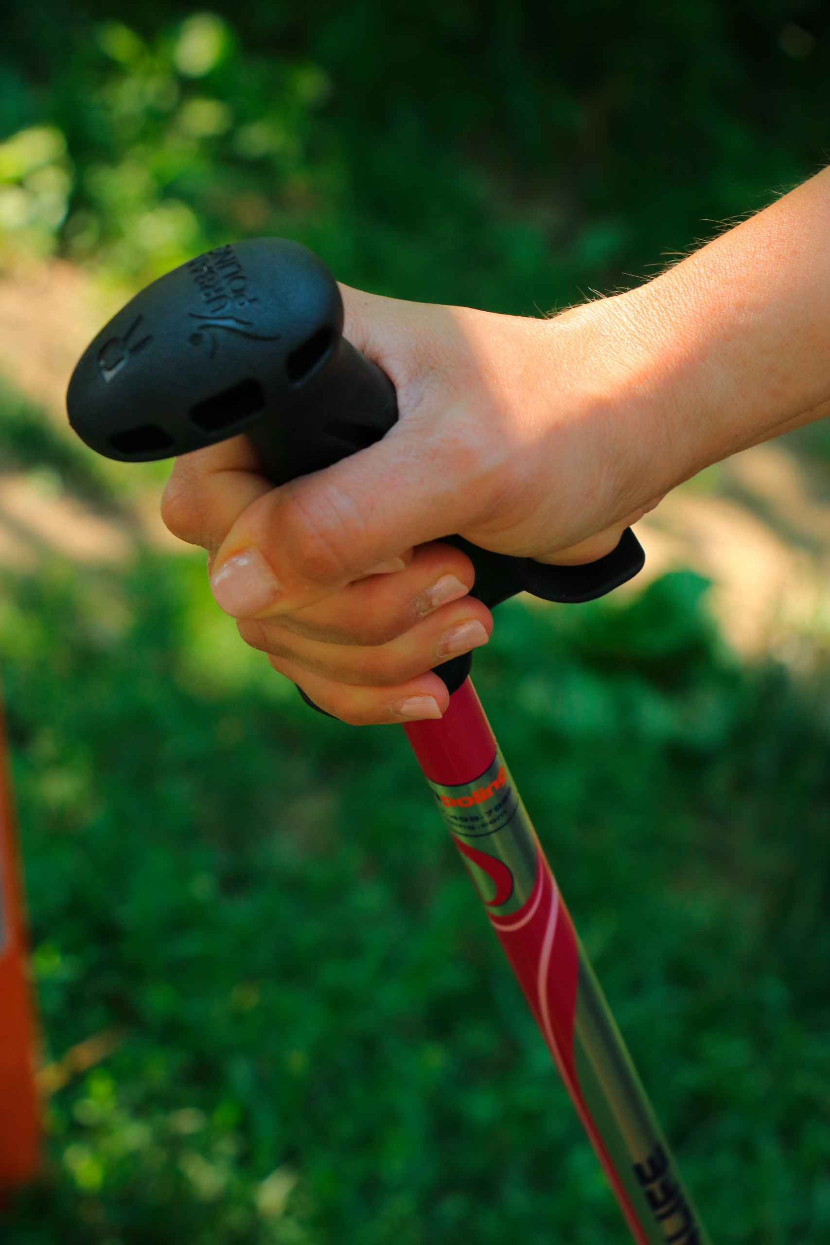 Nordic Walking – Not Just a Walk in the Park By Sue Slaght