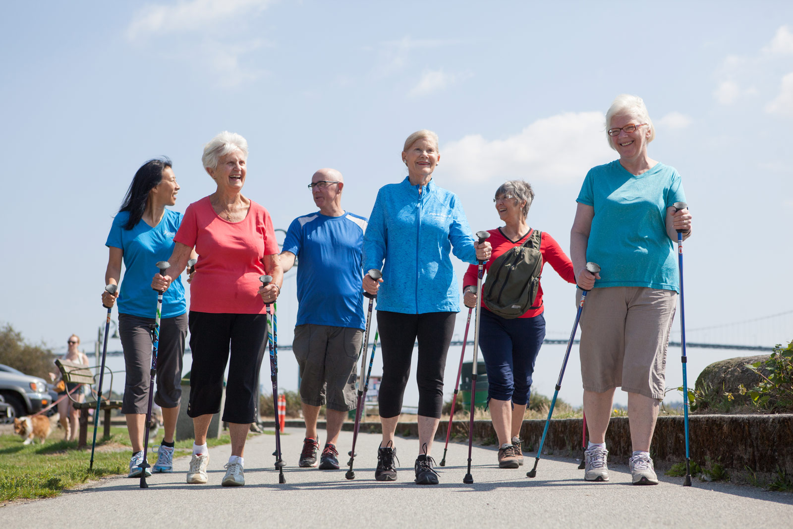 Effects of Nordic walking training on quality of life, balance and functional mobility in elderly: A randomized clinical trial